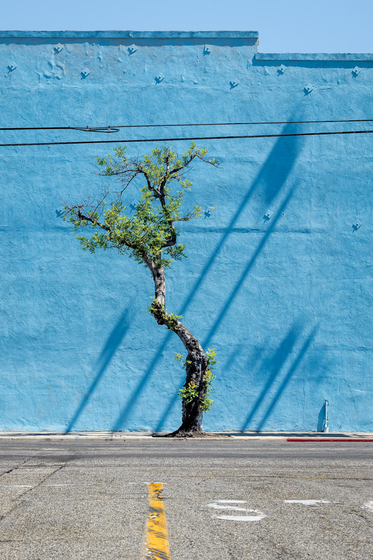 _DSC5001-Edit